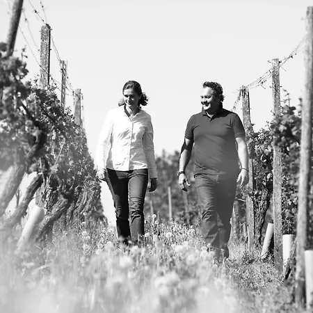 Hotel Weingut Matthias Dostert / Culinarium Nittel