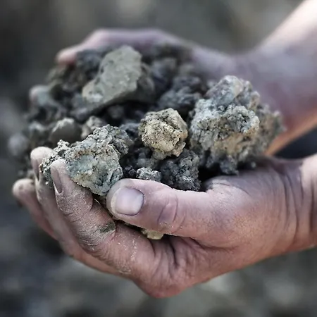 Weingut Matthias Dostert / Culinarium Hotel *