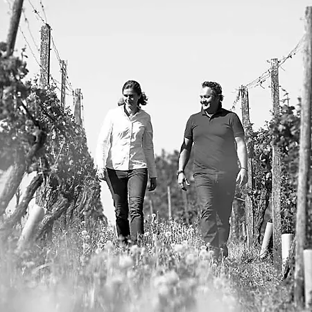Hotel Weingut Matthias Dostert / Culinarium *
