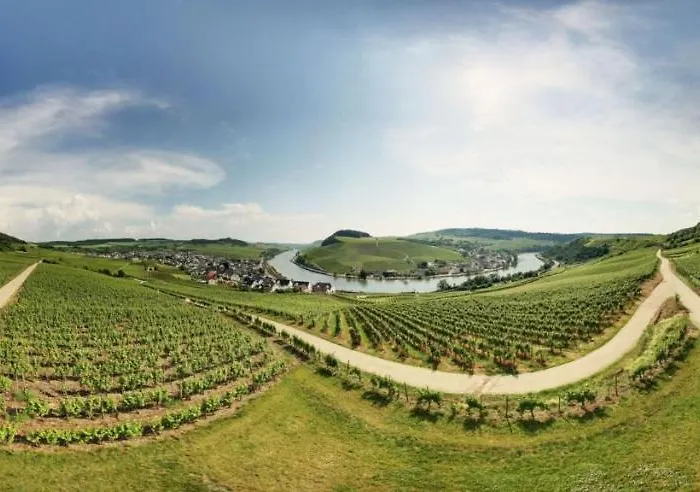 Weingut Matthias Dostert / Culinarium Hotel