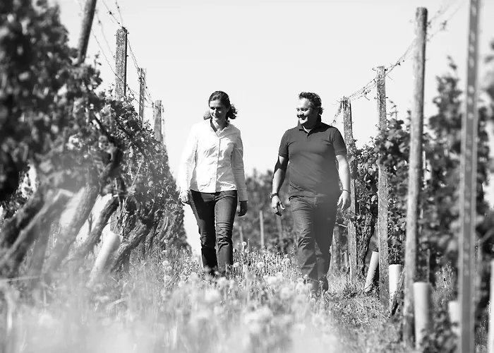 Hotel Weingut Matthias Dostert / Culinarium Nittel