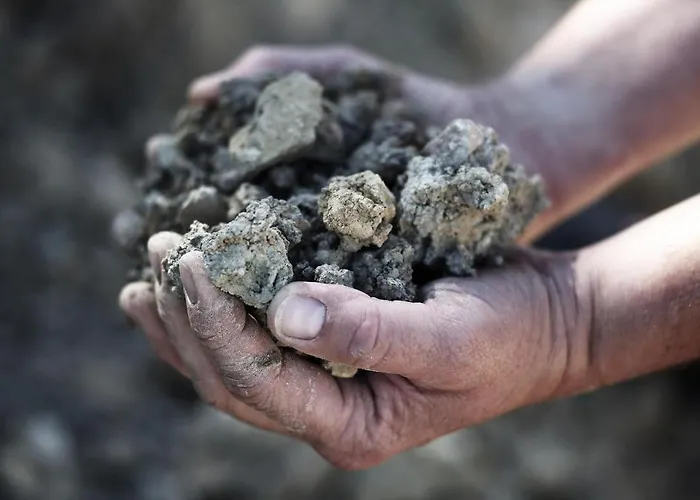 Weingut Matthias Dostert / Culinarium Hotel *